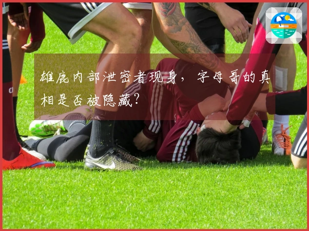 雄鹿内部泄密者现身，字母哥的真相是否被隐藏？