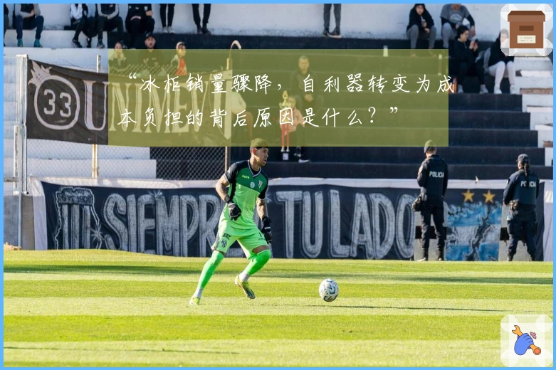 “冰柜销量骤降，自利器转变为成本负担的背后原因是什么？”
