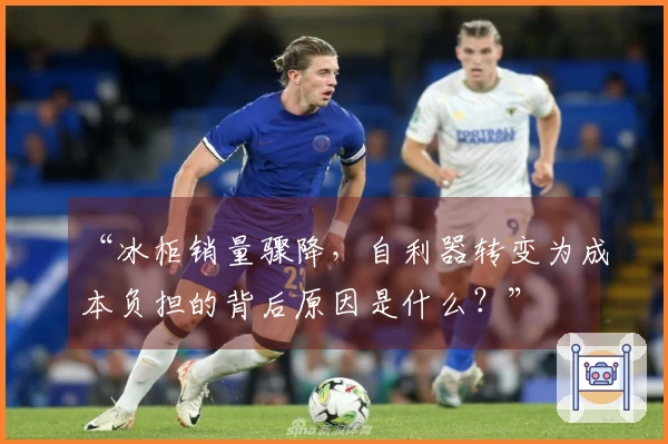“冰柜销量骤降，自利器转变为成本负担的背后原因是什么？”